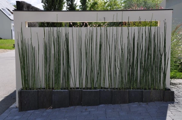 Mur enduit avec fenêtre et couvertine alu - paysagiste Vannes
