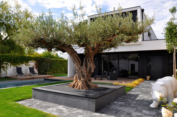 Terrasse bois