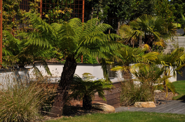 Intégration bois d'un SPA - paysagiste Vannes