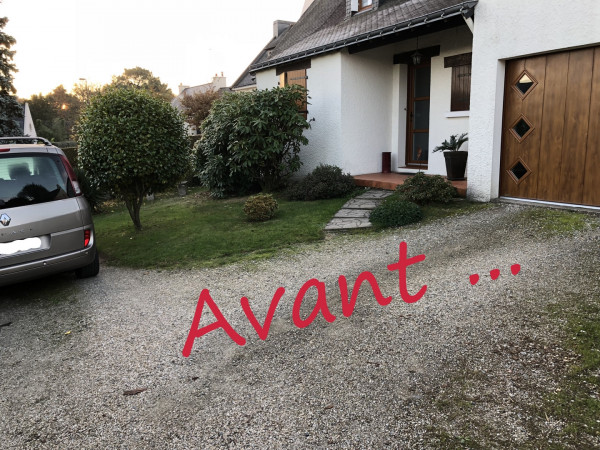 Avant