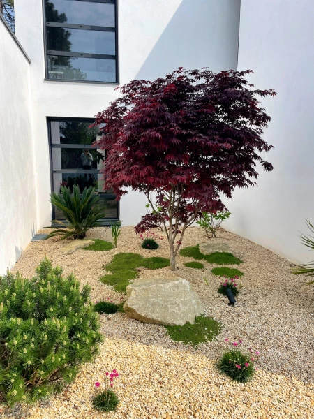 Patio, érable japonais - paysagiste Vannes
