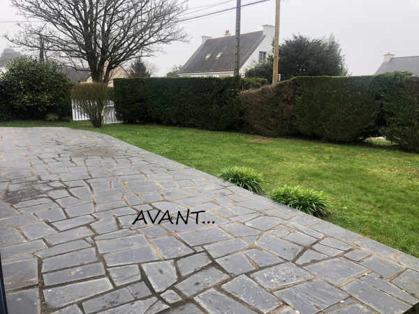Avant