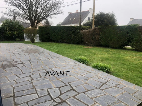 Avant
