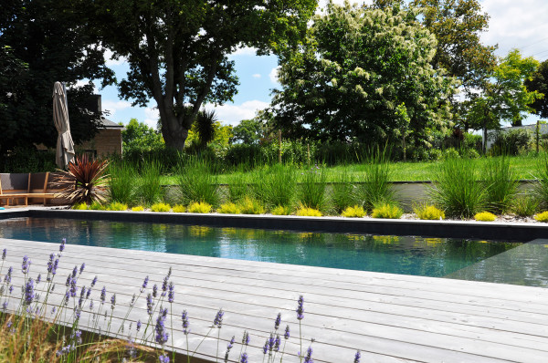 Abords de piscine - paysagiste Vannes