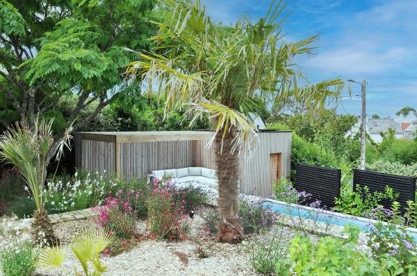 Trachycarpus fortunei - paysagiste Vannes