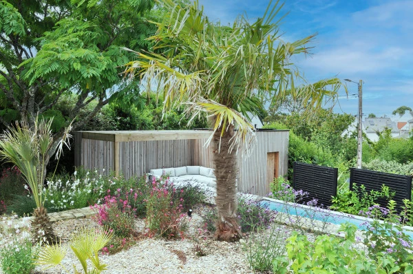 Trachycarpus fortunei - paysagiste Vannes